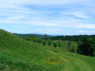 DSCF0539
