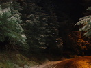 DSC01090