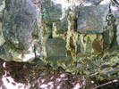 DSCF0564