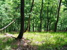 DSCF0572