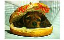 Hot_dog