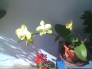 Imag008