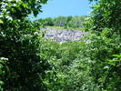 DSCF2005