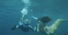 Cleoo_lewis_water