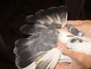 P9040431