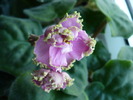 P1160354