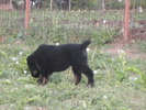 poze 04.05.2009 097