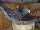 DSC00760