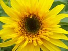 NewPhotographyByHaley005