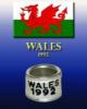 WALES 1992