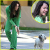 miley-cyrus-stray-dog