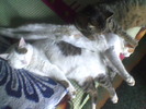 Imag033