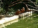 P8050939