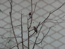 IMG_0157