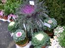 DSC00082