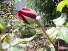 611a8af9_0020000204066_00_600