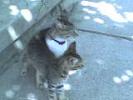 DSC00030