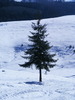 DSCF6910