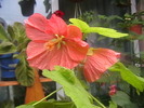 Picture 010