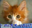 i_miss_you