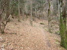 DSC04567