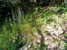 DSCF2510