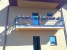 20062009895