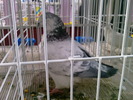 Fotografii-0043