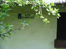 DSCF0515