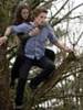 bella and edward flying