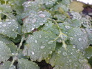 DSC00645
