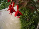 Picture 024