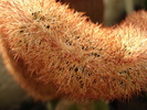 DSC09540