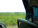 DSCN1598