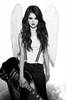 selenafan049