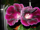DSC02680