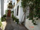 141 Cordoba