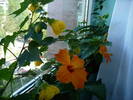 P1110115