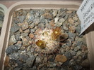 DSCF0851