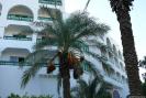 Tunisia_138