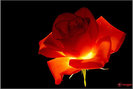 d5c25678_0050000875237_00_600