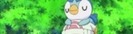 piplup