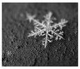 _piece_of_winter__by_fangedfem