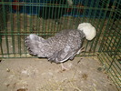 P8161756
