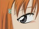 orihime-16[1]
