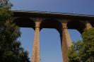 Resize of DSC_0234
