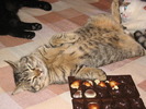 23 dec 2007 033