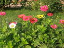 Picture 041