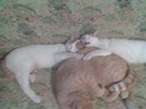 Imag044