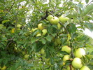 DSCN3225